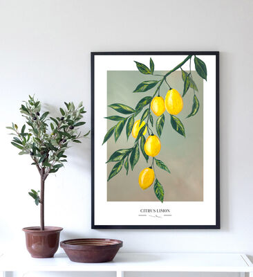 Kaverini Sitruspuu juliste 30x40 cm